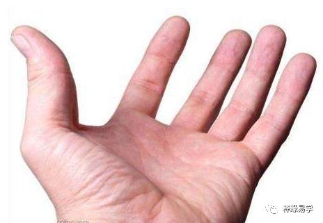 相学研究:手相吉凶的一些参考指标