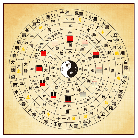 75年属兔男士必看：2024年运势全解析