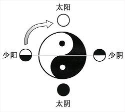 八字排盘宝实用指南：轻松上手不求人