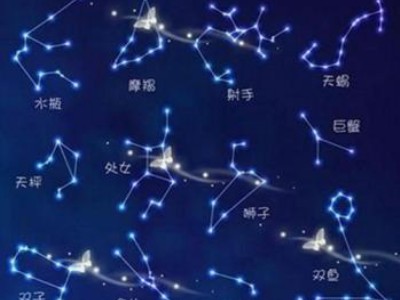 2023年属牛女的运势和财运（2023年属牛女全年运势）