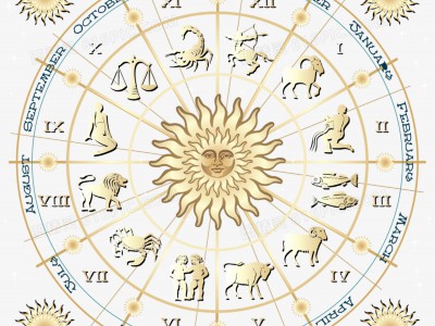 属猴的是哪年出生日期（属猴的是哪一年出生的?更多）