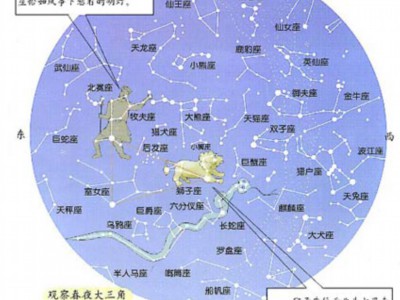 04属猴人2023年运势及每月运程（2004年猴2023年运势）