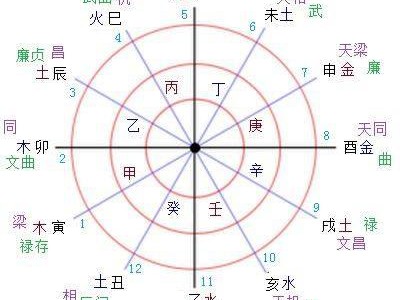 迁移宫巨门看配偶家世地位（迁移宫七杀看配偶家世地位）