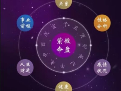 紫微斗数看子女运：权科如何影响你家宝宝的未来？