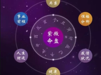 福德宫各星详解（福德宫各星所代表的意思）