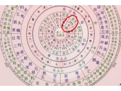 紫微命盘为啥这样排？看懂宫位布局运势翻倍