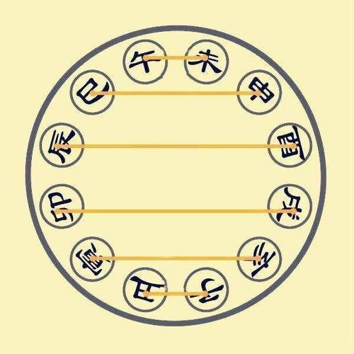 地支丑未冲算不算好命局