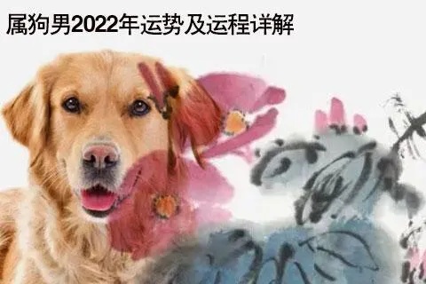 属狗人20222年运势（属狗人22年运势）