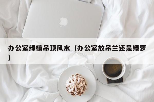 办公室绿植吊顶风水(办公室放吊兰还是绿萝)