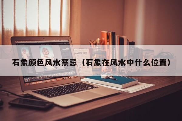 石象颜色风水禁忌（石象在风水中什么位置）