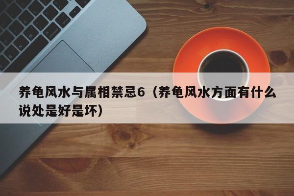 养龟风水与属相禁忌6(养龟风水方面有什么说处是好是坏)