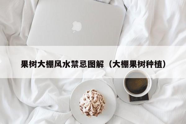 果树大棚风水禁忌图解(大棚果树种植)