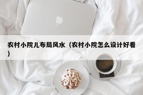 农村小院儿布局风水(农村小院怎么设计好看)