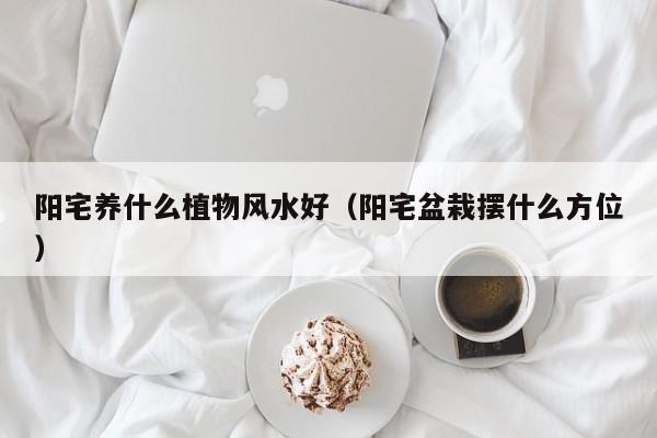 阳宅养什么植物风水好(阳宅盆栽摆什么方位)