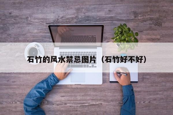 石竹的风水禁忌图片(石竹好不好)
