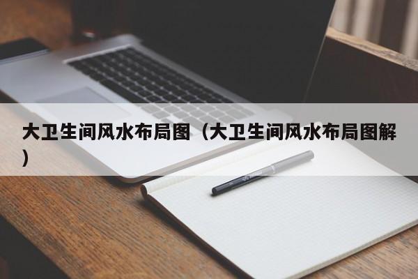 大卫生间风水布局图(大卫生间风水布局图解)