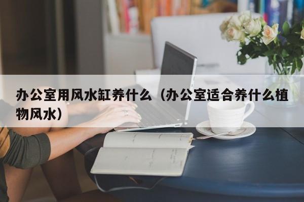 办公室用风水缸养什么(办公室适合养什么植物风水)