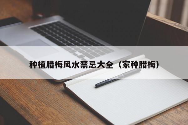 种植腊梅风水禁忌大全（家种腊梅）