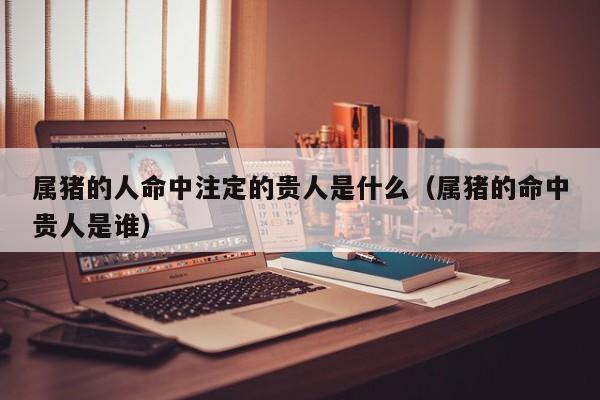 属猪的人命中注定的贵人是什么（属猪的命中贵人是谁）