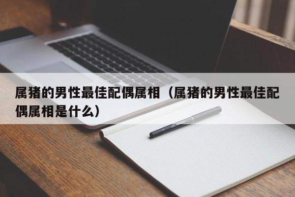 属猪的男性最佳配偶属相(属猪的男性最佳配偶属相是什么)