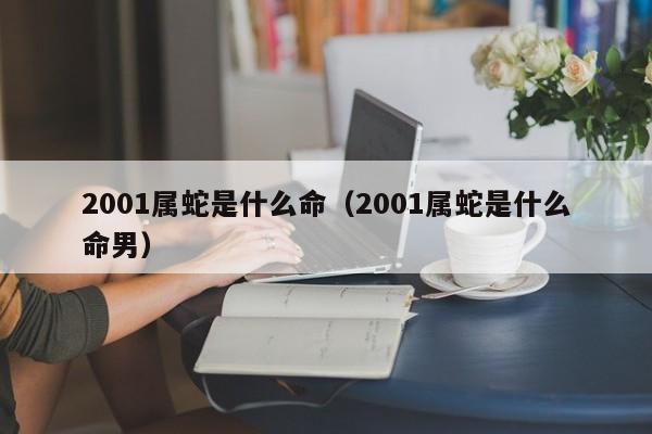 2001属蛇是什么命(2001属蛇是什么命男)
