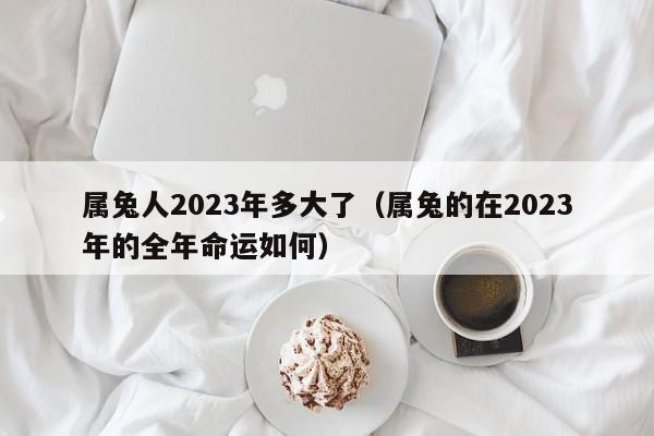 属兔人2023年多大了(属兔的在2023年的全年命运如何)