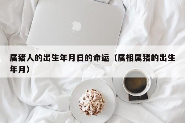 属猪人的出生年月日的命运(属相属猪的出生年月)