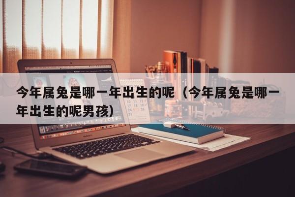 今年属兔是哪一年出生的呢(今年属兔是哪一年出生的呢男孩)