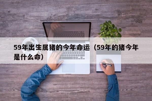 59年出生属猪的今年命运(59年的猪今年是什么命)
