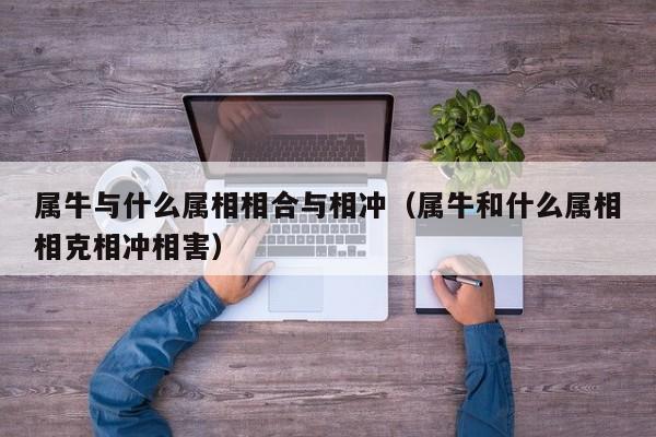 属牛与什么属相相合与相冲(属牛和什么属相相克相冲相害)