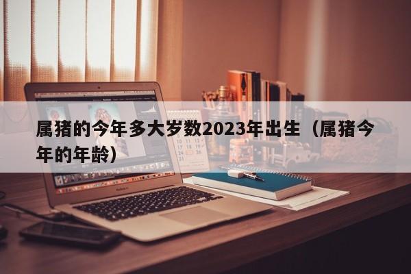 属猪的今年多大岁数2023年出生(属猪今年的年龄)