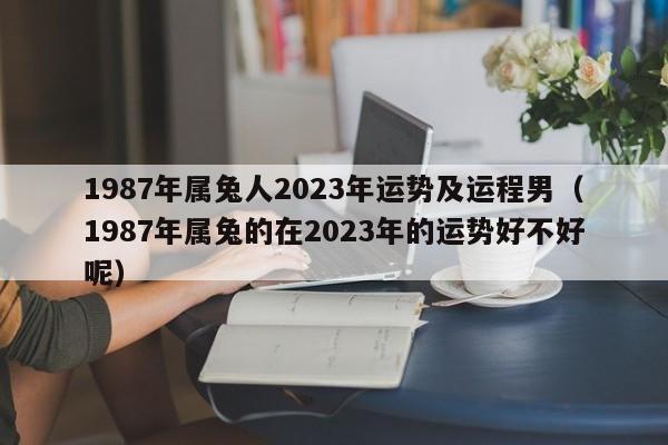 1987年属兔人2023年运势及运程男(1987年属兔的在2023年的运势好不好呢)