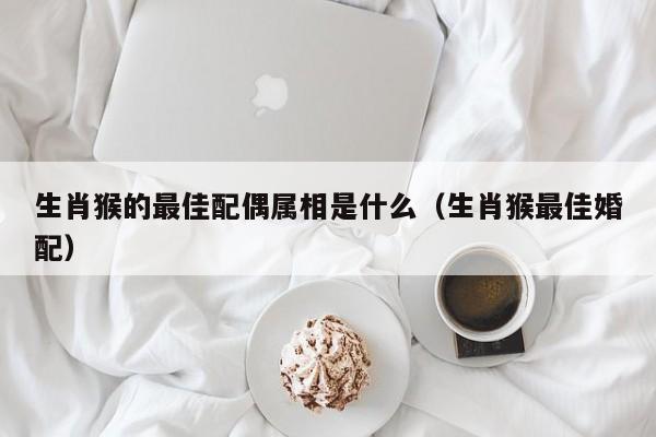 生肖猴的最佳配偶属相是什么(生肖猴最佳婚配)