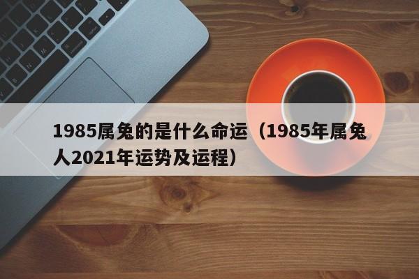 1985属兔的是什么命运(1985年属兔人2021年运势及运程)