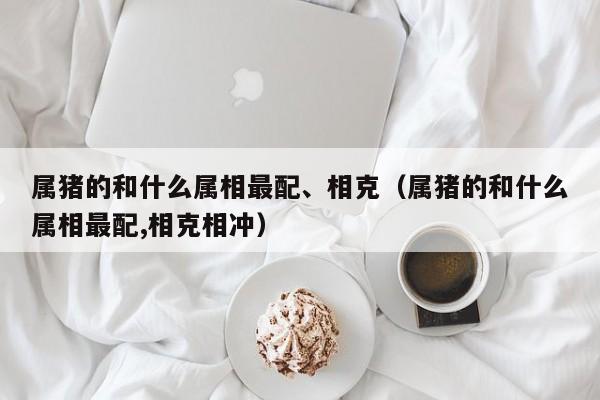 属猪的和什么属相最配、相克(属猪的和什么属相最配,相克相冲)