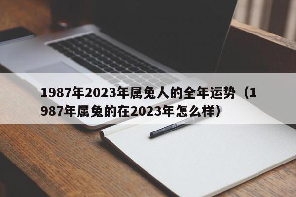 1987年2023年属兔人的全年运势（1987年属兔的在2023年怎么样）