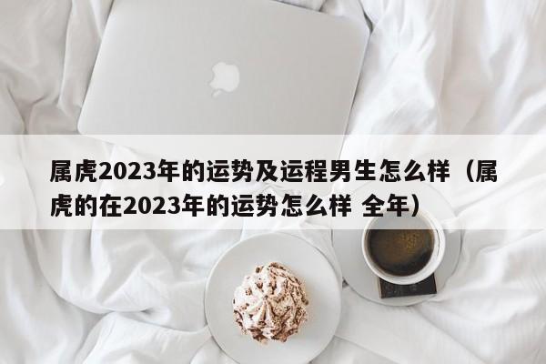 属虎2023年的运势及运程男生怎么样（属虎的在2023年的运势怎么样 全年）