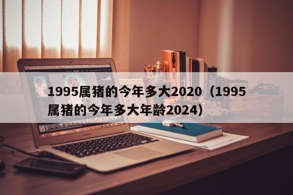 1995属猪的今年多大2020（1995属猪的今年多大年龄2024）