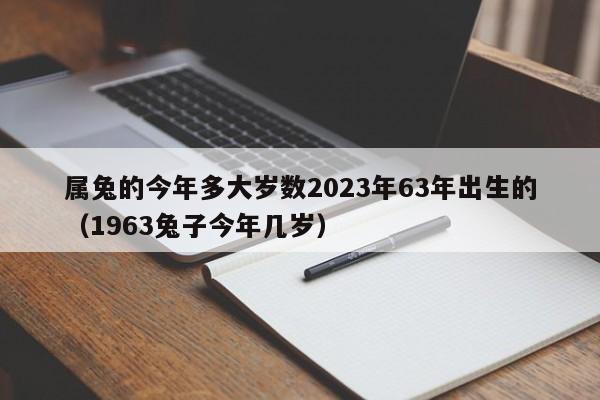 属兔的今年多大岁数2023年63年出生的（1963兔子今年几岁）
