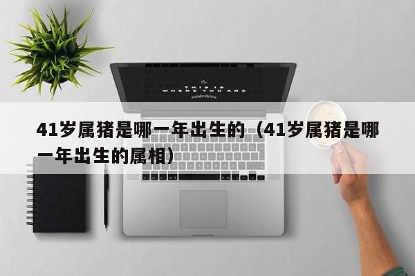 41岁属猪是哪一年出生的（41岁属猪是哪一年出生的属相）