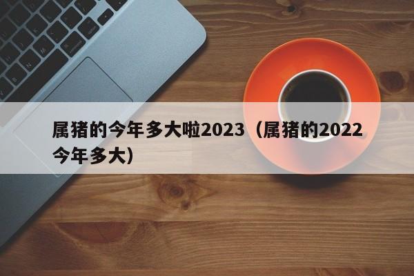 属猪的今年多大啦2023（属猪的2022今年多大）