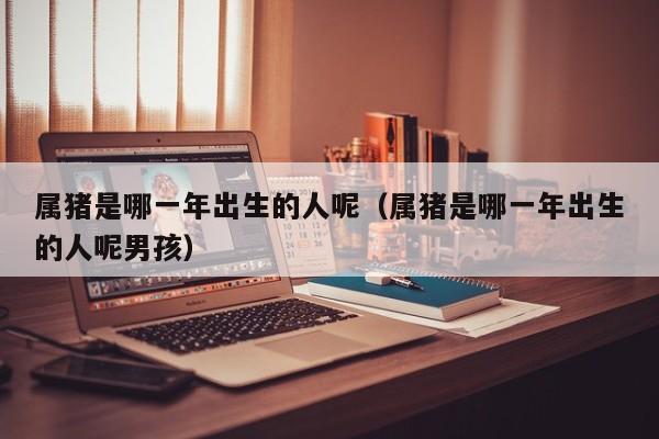 属猪是哪一年出生的人呢（属猪是哪一年出生的人呢男孩）