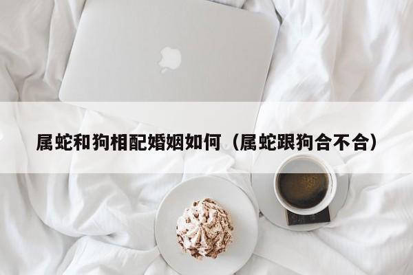 属蛇和狗相配婚姻如何（属蛇跟狗合不合）
