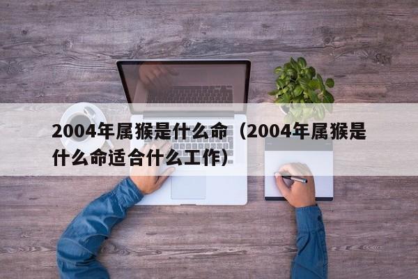 2004年属猴是什么命（2004年属猴是什么命适合什么工作）
