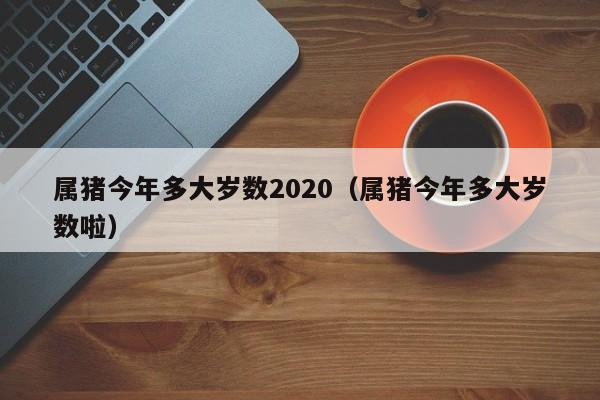 属猪今年多大岁数2020（属猪今年多大岁数啦）