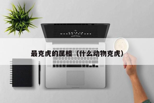 最克虎的属相（什么动物克虎）