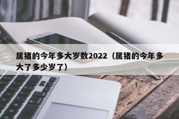 属猪的今年多大岁数2022（属猪的今年多大了多少岁了）