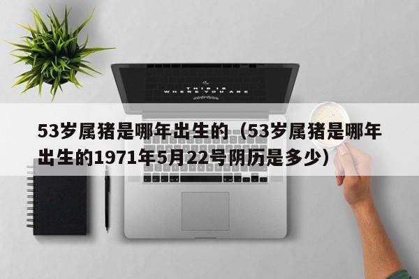53岁属猪是哪年出生的（53岁属猪是哪年出生的1971年5月22号阴历是多少）