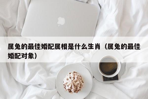 属兔的最佳婚配属相是什么生肖(属兔的最佳婚配对象)