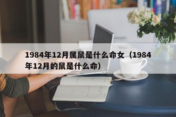 1984年12月属鼠是什么命女（1984年12月的鼠是什么命）